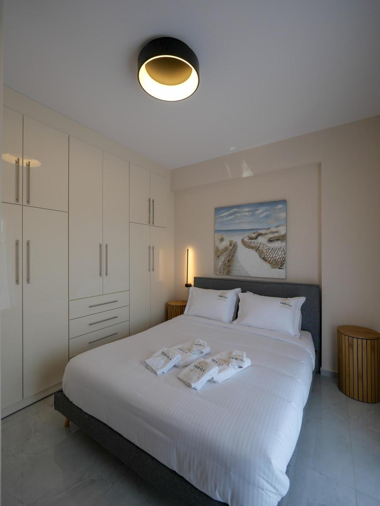 Deluxe Apartment 特里卡拉 外观 照片